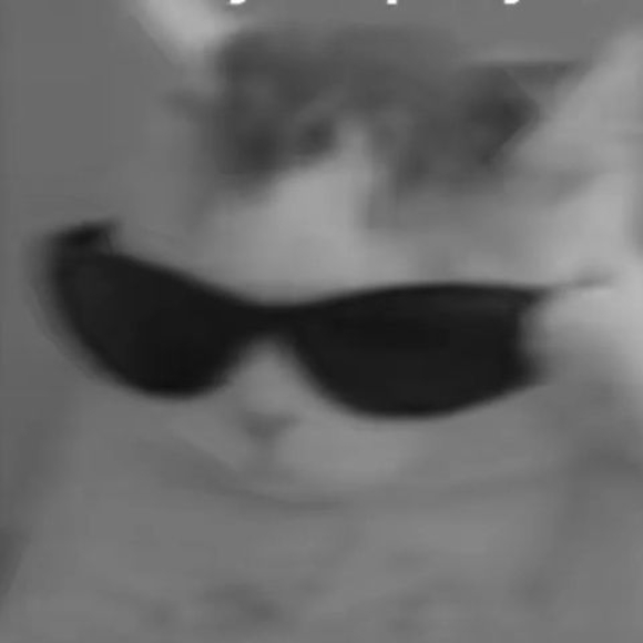 Meet your Posher, Marissa - Picture 1 of 1